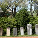 우체국관사 옆 이미지