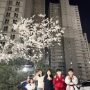 용인대 송라태권도장 이미지