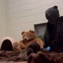 엄마와 아기곰 이미지