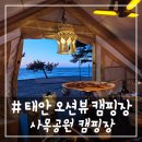 애견운동공원(11~2월) | # - 애견동반도 가능한 오션뷰의 태안 사목공원 캠핑장(명당 사이트 추천 및 A5, A9 후기)