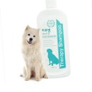 인터펫코리아 이미지