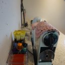 대흘그곳 | 제주도숙소추천 함덕 대흘그곳 정말 강츄