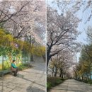 낙성대동-22 이미지
