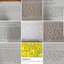 샛별분식점 | [샛별배송] <1일 1칼럼> 구독자 모집 2기