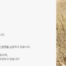 수목토일라이트