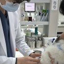 언제나동물병원 이미지