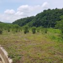 전원락농장 이미지