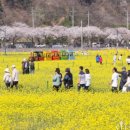 상맹방(상맹방1리) 이미지