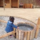 초안산 유아숲체험장 이미지