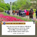 [토론토 근교 당일치기] &#39;파란여행&#39;의 오타와 튤립축제 1일 여행후기 (2025.05.19)