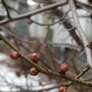 온고이지신 이미지