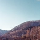 달팽이커피앤필름