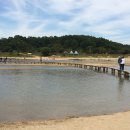 무섬마을 이미지