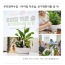 토닥토닥작은도서관 | 가족 생태환경교육 부모참여수업 학부모 연수)우리집 작은숲, 공기정화식물 심기