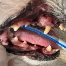 배꼽누리 이미지