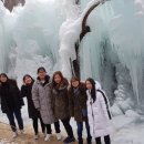 상소오토캠핑장 이미지