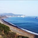 제주 산방산 암벽식물지대 이미지