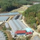 기형농장 이미지