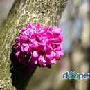 자연동산어린이집 이미지