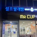 셀프빨래방 카펫세탁 대형 러그 워시앤클린 코인세탁소 후기, 가격