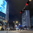 한국 | 늦은 한국 방문 후기