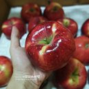 태봉유통 이미지