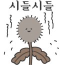 위너컴퍼니 이미지