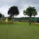 그린야드골프스쿨 이미지