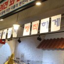 데일리펫 위드독스 이미지