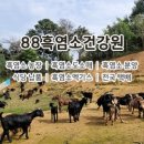 88건강원