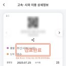 서부종합카 | 여수 자유여행 1박2일 1일차 (부산-여수 고속버스, 오동도, 케이블카, 깨장어맛집 등)