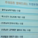 통일샘 이미지