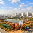 호수공원 10로 네이버블로그