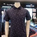 H2536 이미지
