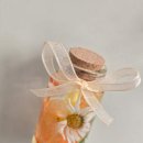 블루밍 플라워 앤 가든 이미지