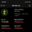 디풀업