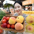 달달한과일
