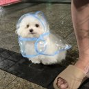 칠이공