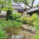 서정마을(중)(19403) | [육신사]대구근교가볼만한곳 박팽년후손마을 사육신위패모신곳 하빈육신사