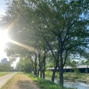 광주천변좌로자전거도로 이미지