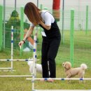 반려동물관리사 이미지