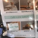 케이원렌탈 | 과천 브런치 선바위역 케이원카페 후기
