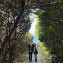 큰엉해올레펜션 | [4-3|3.31~4.5]더할나위 없이 좋았던 제주여행: 큰엄전망대, 성산유민미술관, 섭지코지 오조리포구(4.3)