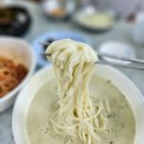 골정지 | 당진맛집 김가면옥 내돈내산 후기 ft. 골정지 연꽃