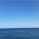 빨간바다 이미지