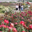 장미파크 이미지