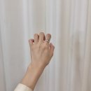 디하트 이미지
