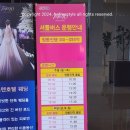 강릉탑스텐호텔, 호캉스추천, 온천, 수영장 이용후기&amp;꿀팁, 강릉호텔추천