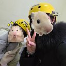 여천 | 여수 놀거리, 여천 '유월드 루지 테마파크' 강추 후기