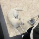 의료법인센텀의료재단 서부산센텀병원 | 길을 걸을 땐 바닥을 보기🩵